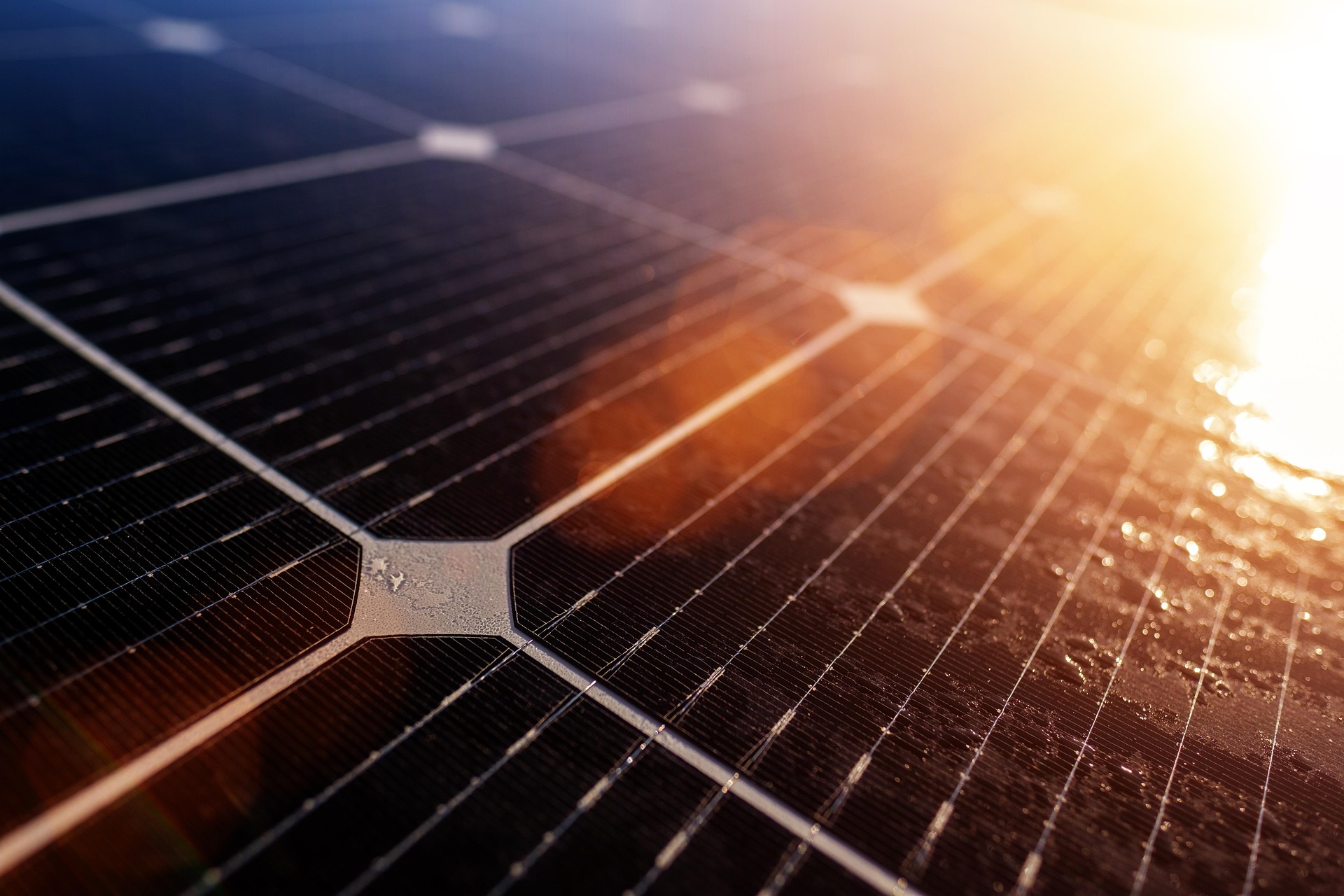 Photograph of a photovoltaic solar cell in a solar panel